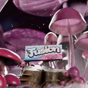 Fusion Bar Cotton candy