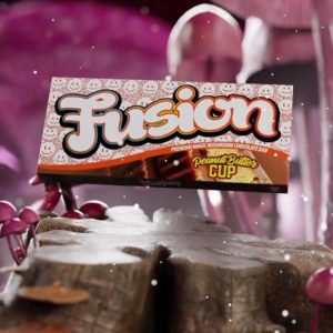 Fusion Bar Peanut butter